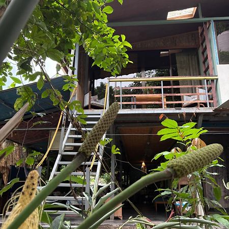 Organico Punta Riel Ξενοδοχείο Cahuita Εξωτερικό φωτογραφία