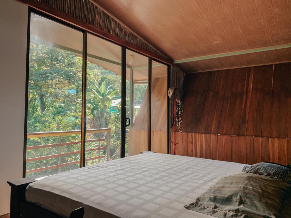 Organico Punta Riel Ξενοδοχείο Cahuita Εξωτερικό φωτογραφία