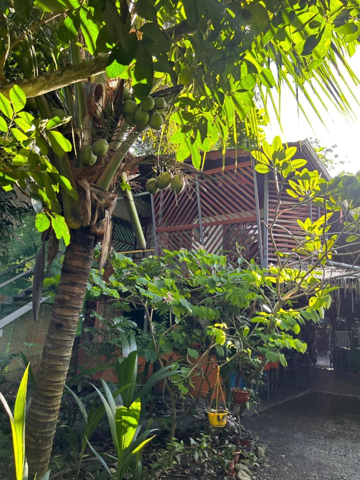 Organico Punta Riel Ξενοδοχείο Cahuita Εξωτερικό φωτογραφία
