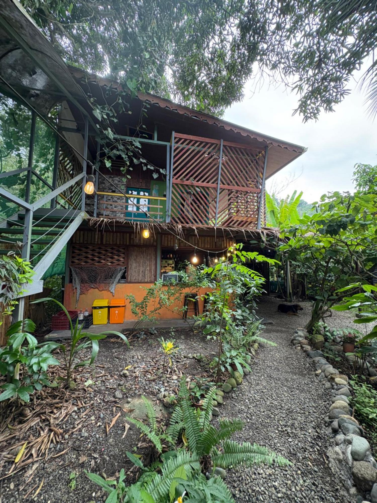 Organico Punta Riel Ξενοδοχείο Cahuita Εξωτερικό φωτογραφία