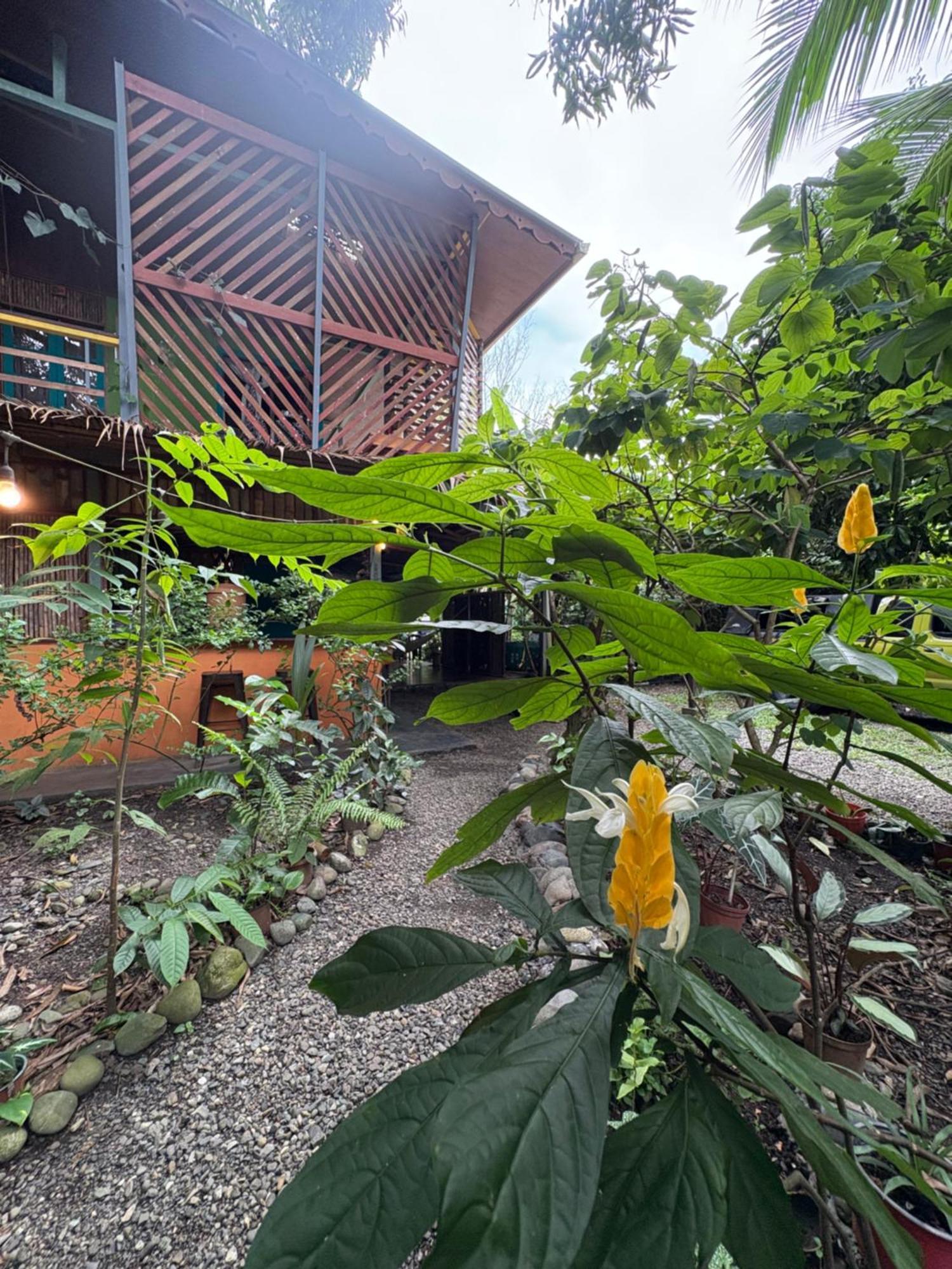 Organico Punta Riel Ξενοδοχείο Cahuita Εξωτερικό φωτογραφία