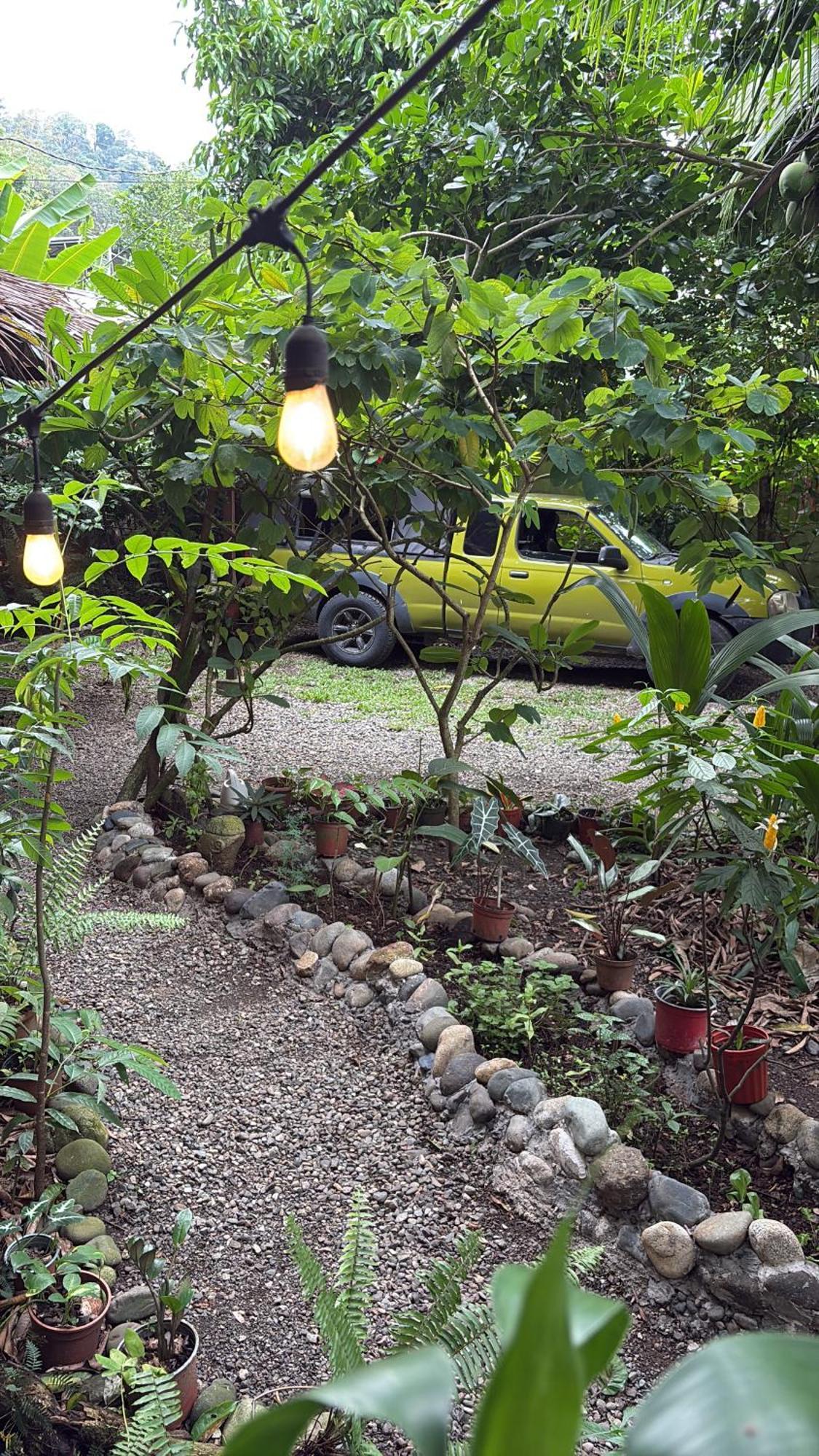 Organico Punta Riel Ξενοδοχείο Cahuita Εξωτερικό φωτογραφία