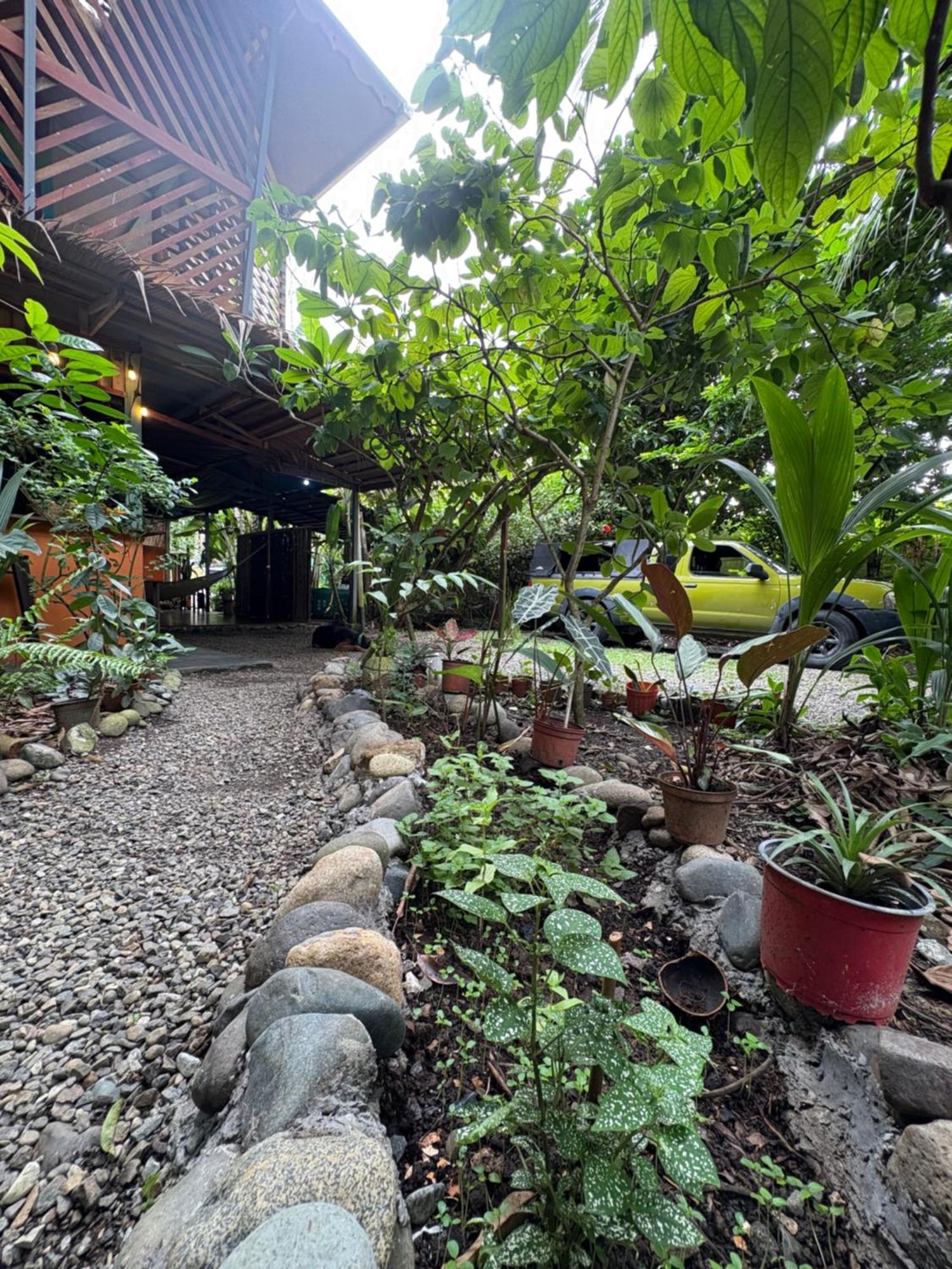 Organico Punta Riel Ξενοδοχείο Cahuita Εξωτερικό φωτογραφία